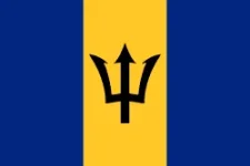 Flag_of_Barbados.svg.webp