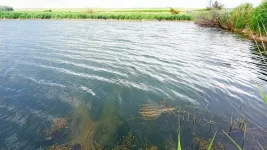IMG_20220703_183930.jpg