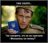 16941423.webp