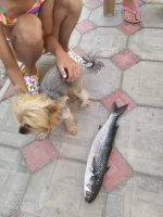 IMG-20220707-WA0006.webp