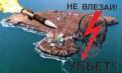 1657186155931.webp