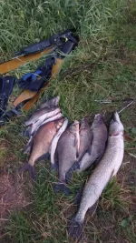 IMG-20220708-WA0010.webp