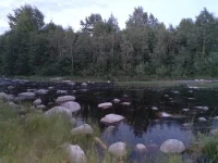 20220708_234410.webp