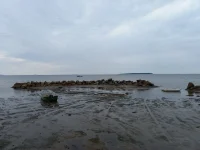 20220711_090155.webp