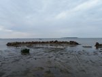 20220711_090155.jpg