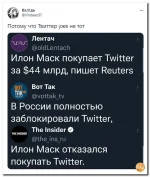 15 (10).webp