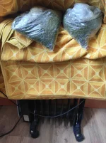 IMG_20220712_140237.webp