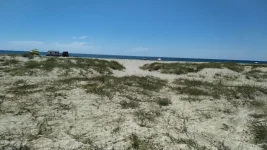 IMG-20220713-WA0049.webp
