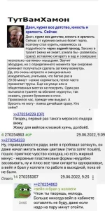 16961053.webp