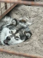 IMG-20220714-WA0011.webp