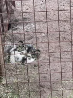 IMG-20220714-WA0012.webp