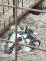 IMG-20220714-WA0013.webp