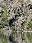 IMG-20220714-WA0022.jpg