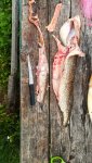 IMG-20220714-WA0030.jpeg