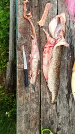 IMG-20220714-WA0030.webp