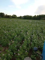 IMG_20220714_210019.webp