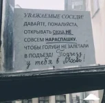 16969339.webp
