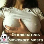 5331321_original.webp