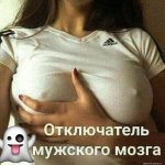 5331321_original.jpg