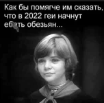 16978464.webp 16978464.webp
