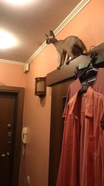 IMG-20220720-WA0006.webp