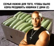 16988092.webp