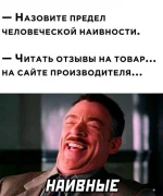 16988091.webp