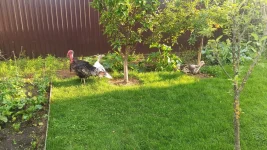 IMG-20220725-WA0011.webp