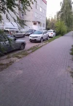 17007058.webp