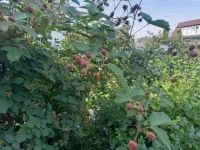 20220728_101905.webp