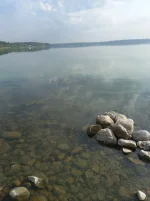 20220728_084836.webp