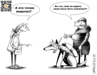 5375751_original.webp