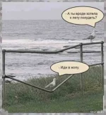 5377344_original.webp