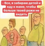 17017831.webp
