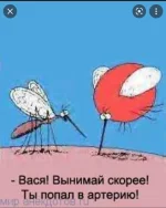 1659197206065.webp