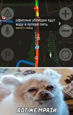 1659160488_pressa_tv_mem-15.webp