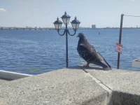 IMG_20220801_134524.webp