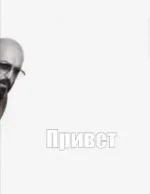 17022968.webp