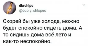 17016615.webp