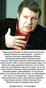 17025900.webp