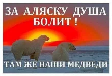 kartinki-prikoly-do-slez-30.webp