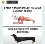 17031776.webp