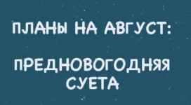 17033320.webp