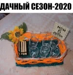 17002547.webp