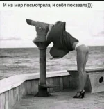 1641037346.webp