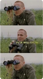 17047670.webp