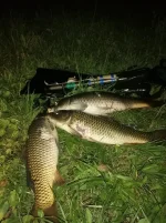 IMG_20220806_013031.webp