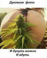 IMG-46d2737c1000a700e1755beb802f0bd9-V.webp