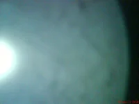 DSC01240.webp