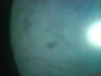 DSC01238.webp